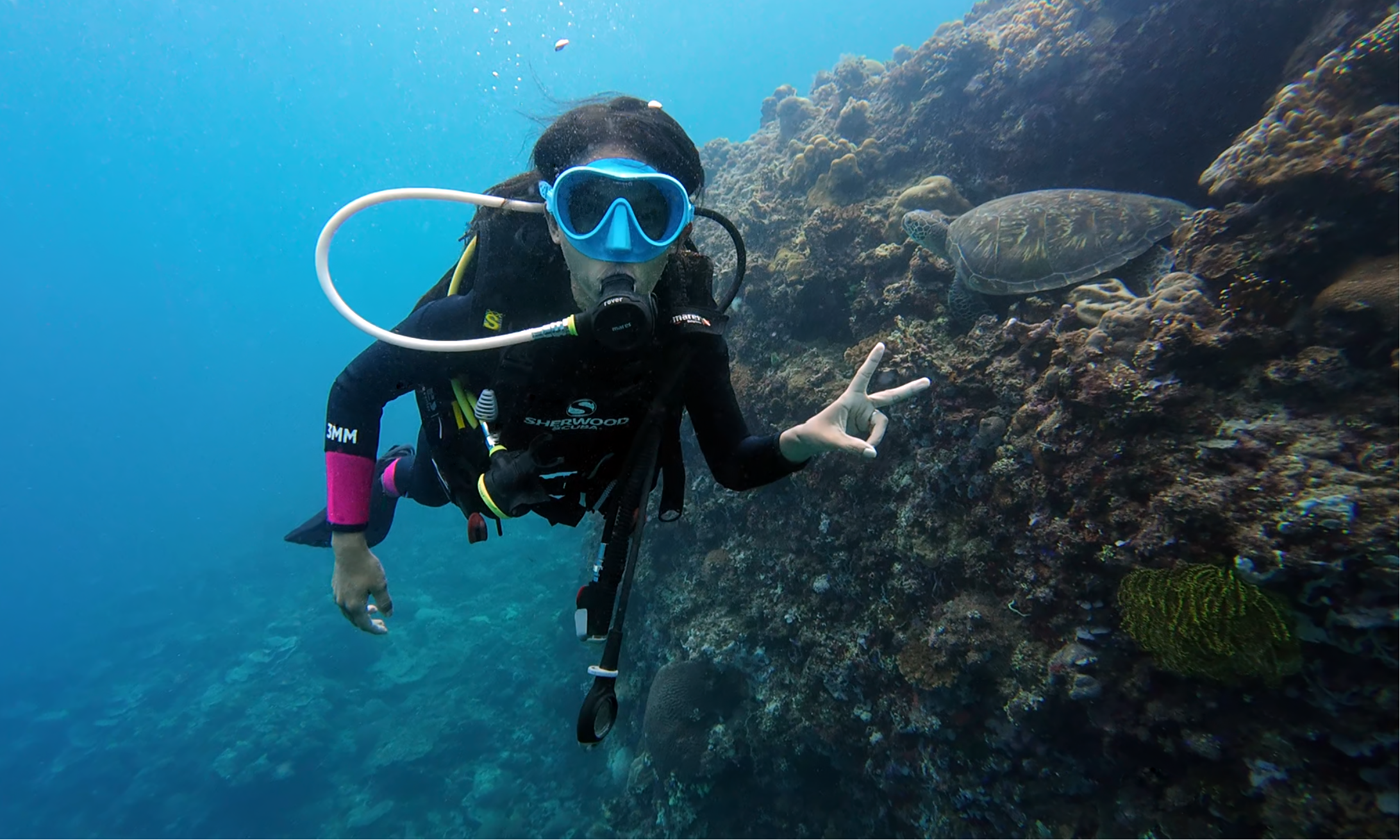Diving in Siquijor